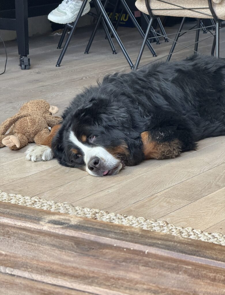 Thuis bij Familie over de Kook – week 20