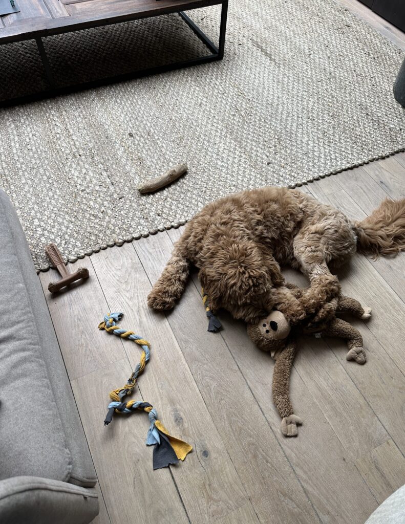 Thuis bij Familie over de Kook: week 21