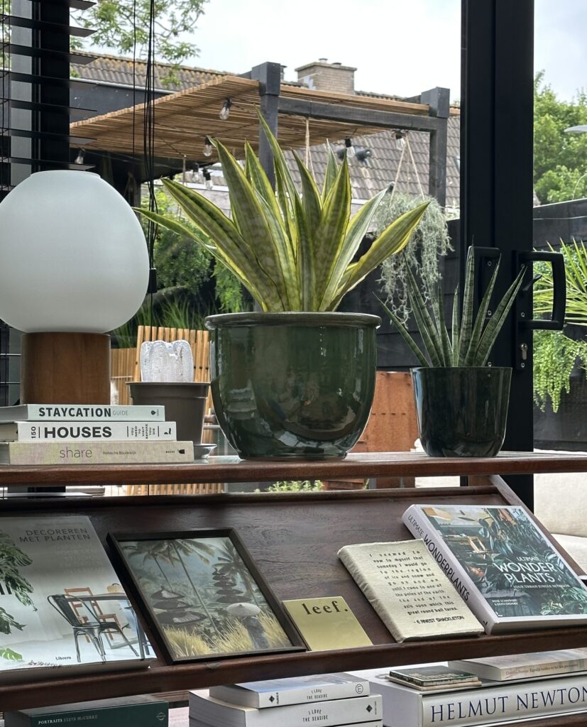 Thuis bij Familie over de Kook: week 21