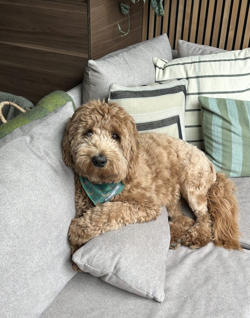 Thuis bij Familie over de Kook: week 21