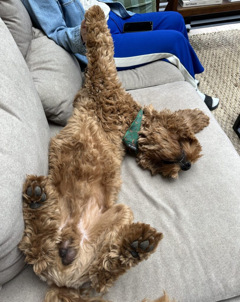 Thuis bij Familie over de Kook – Week 21