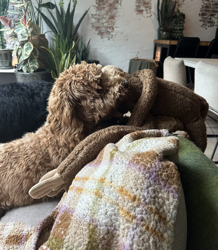 Thuis bij Familie over de Kook: week 21