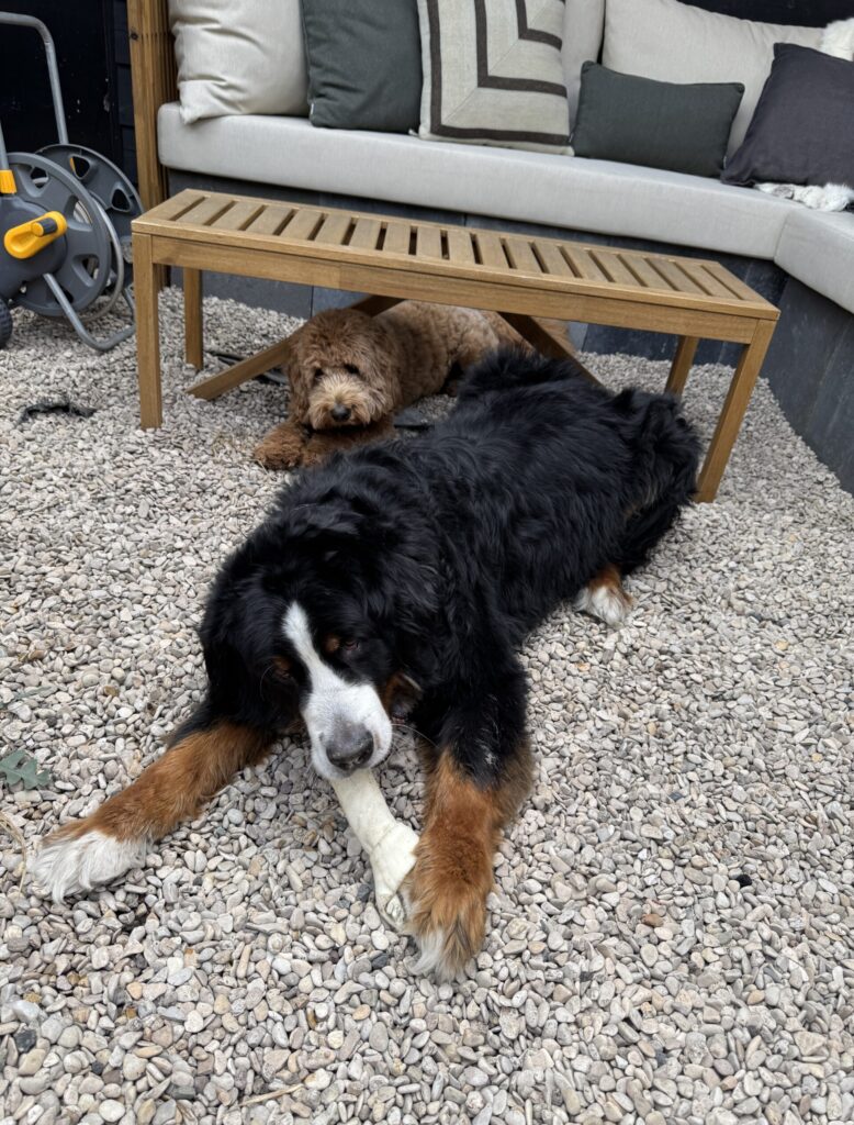 Thuis bij Familie over de Kook: week 21