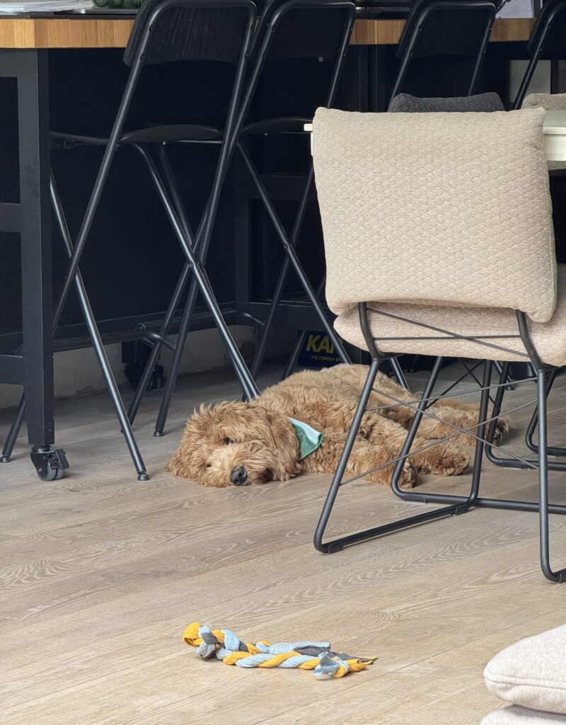 Thuis bij Familie over de Kook – Week 21