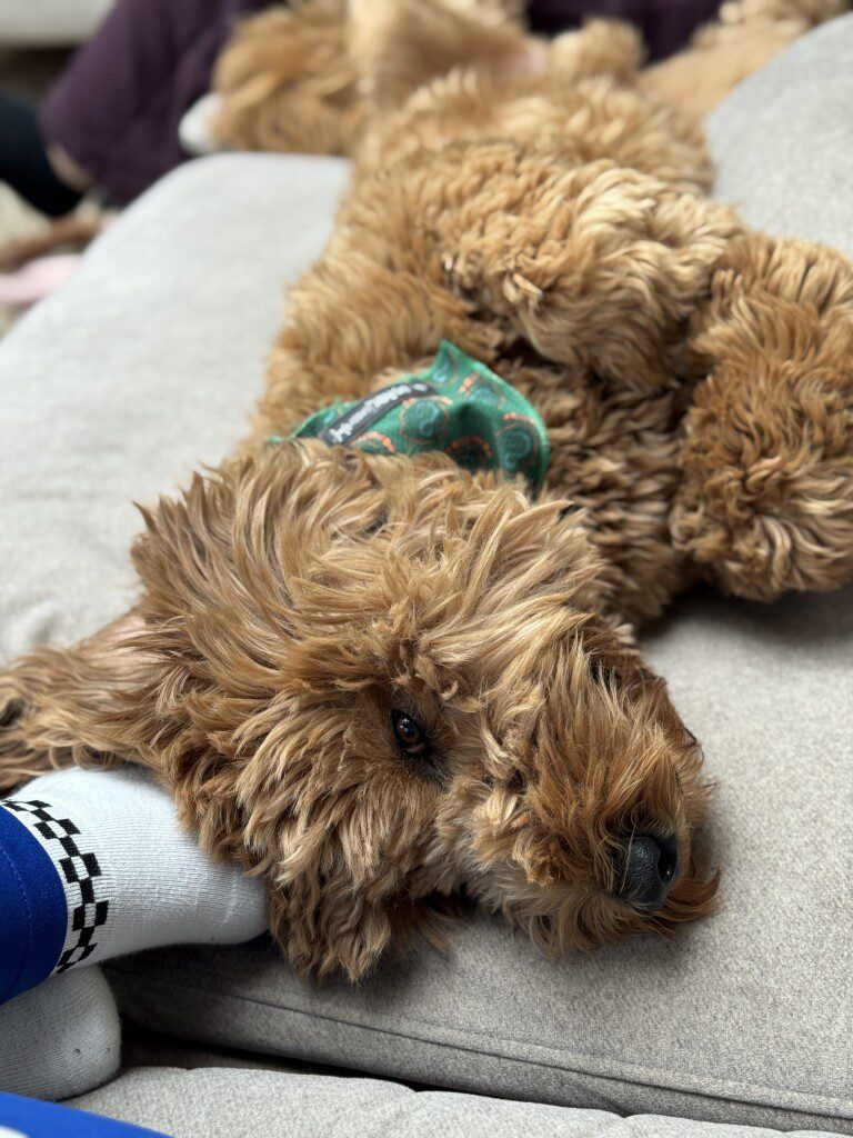 Thuis bij Familie over de Kook – Week 21