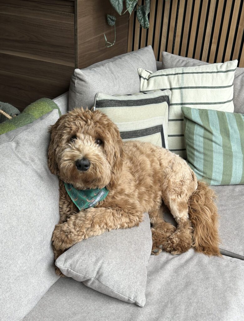 Thuis bij Familie over de Kook – week 22