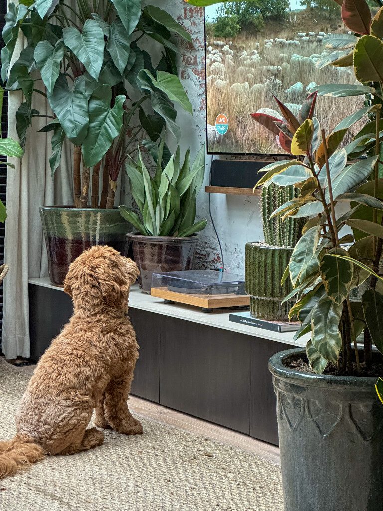 Thuis bij Familie over de Kook: week 22