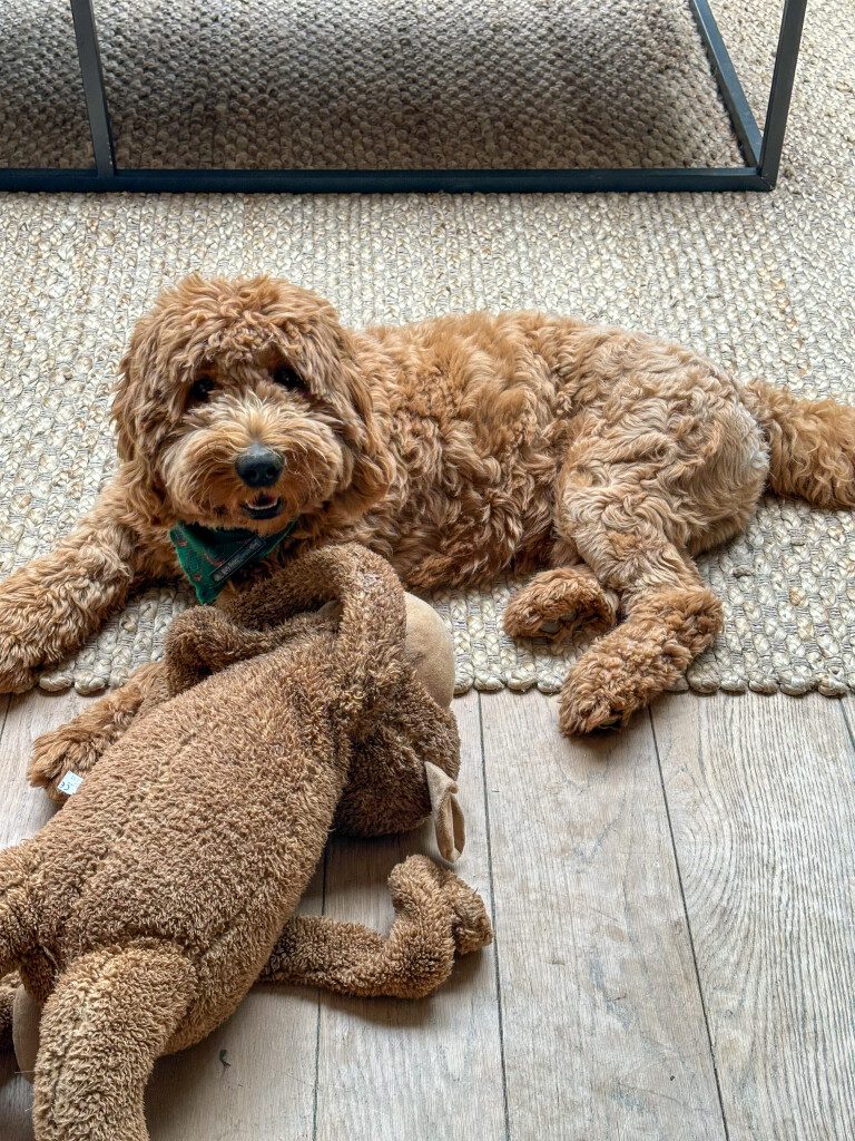 Thuis bij Familie over de Kook – week 22