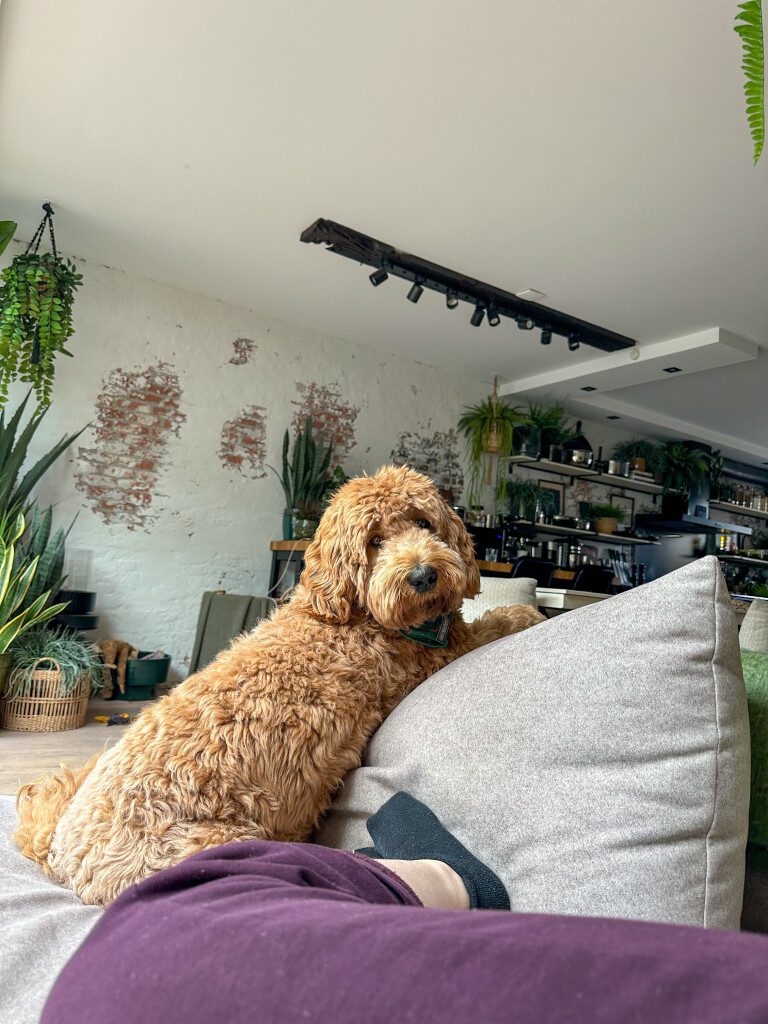 Thuis bij Familie over de Kook: week 22