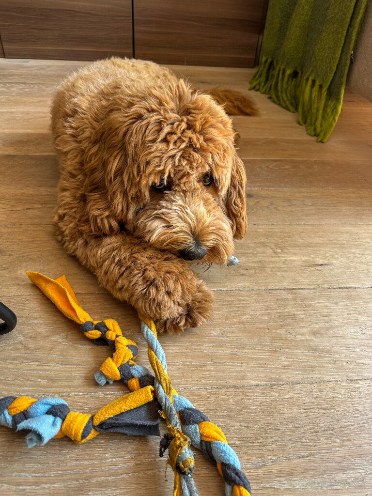 Thuis bij Familie over de Kook – week 22