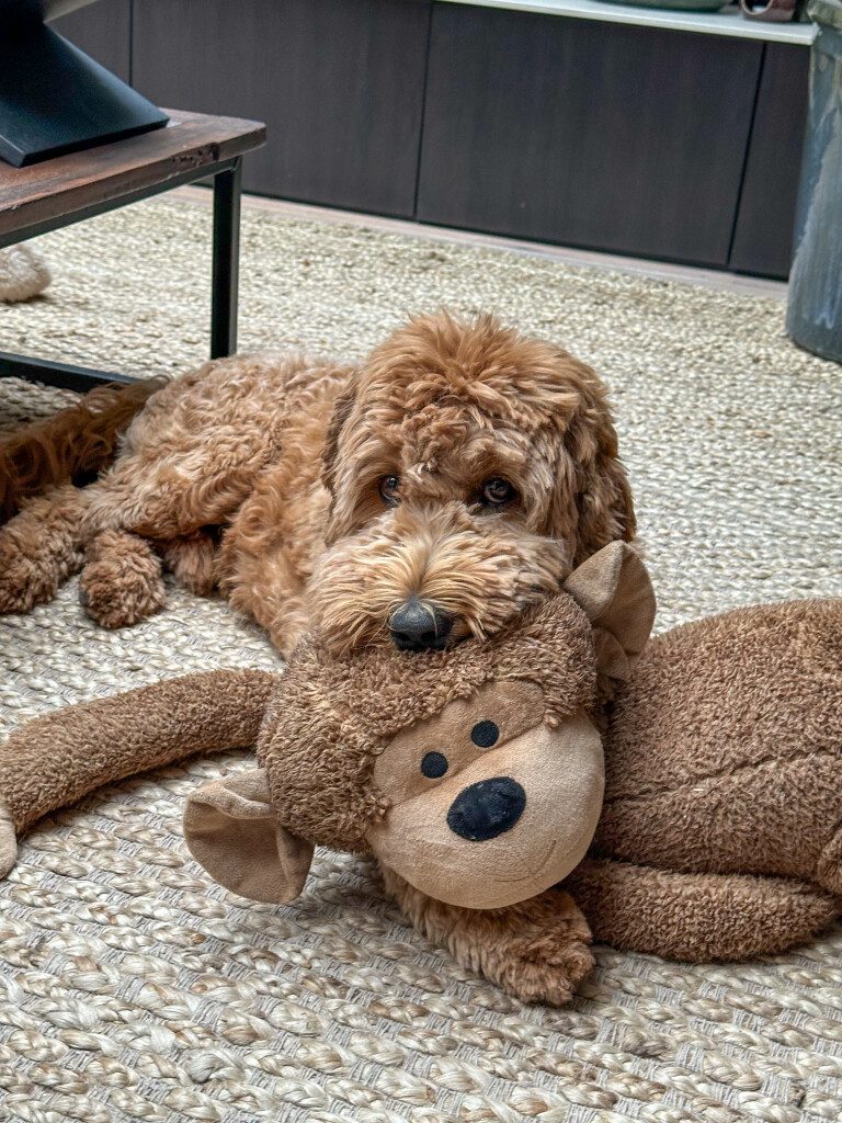 Thuis bij Familie over de Kook – week 23