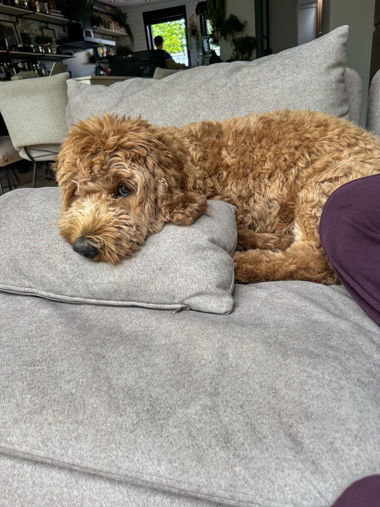 Thuis bij Familie over de Kook – week 23