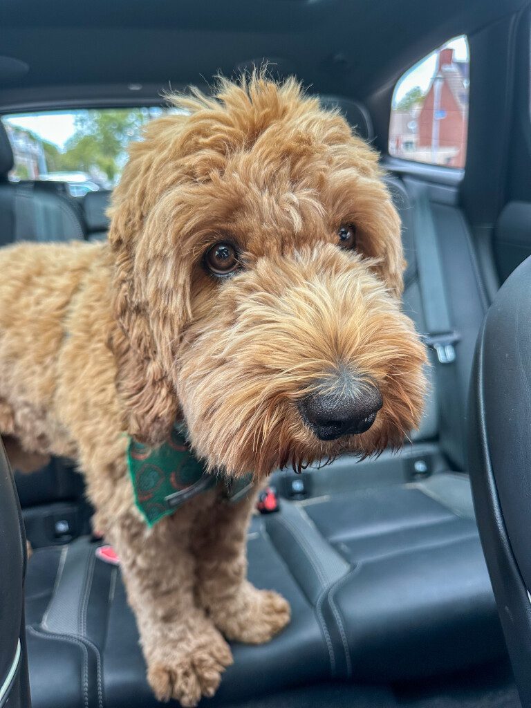 Thuis bij Familie over de Kook: week 24