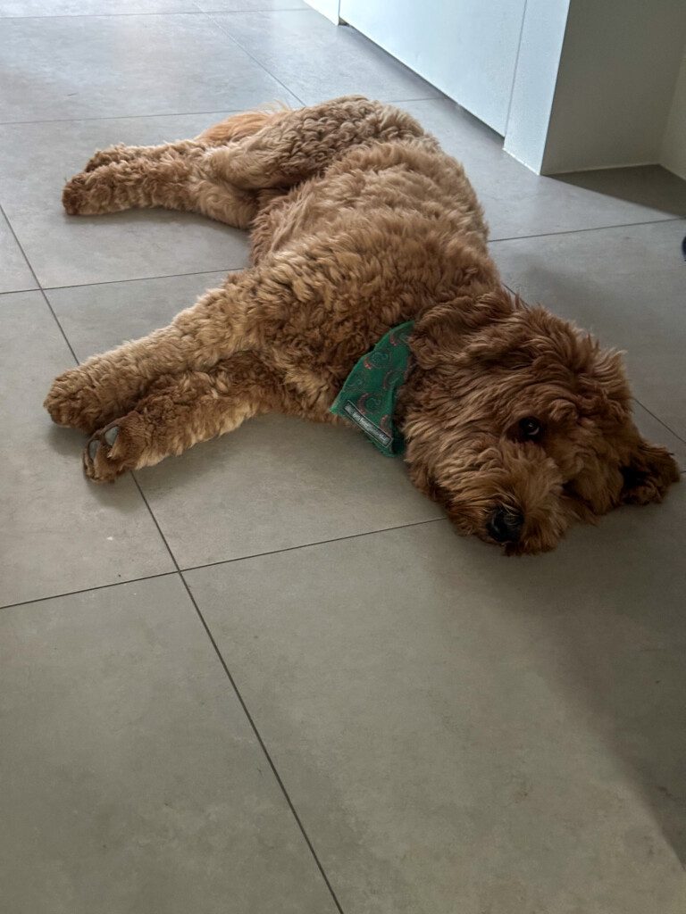 Thuis bij Familie over de Kook: week 24