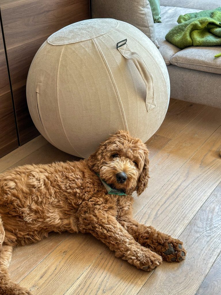 Thuis bij Familie over de Kook: week 25