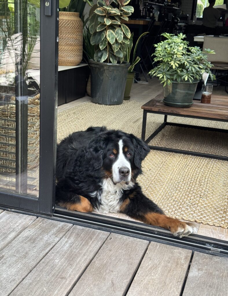 Thuis bij Familie over de Kook – week 23