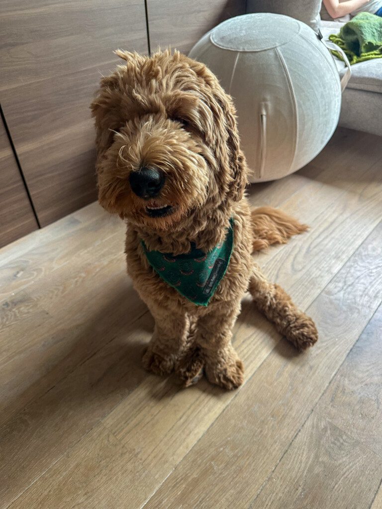 Thuis bij Familie over de Kook: week 25