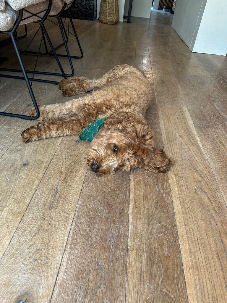 Thuis bij Familie over de Kook: week 25