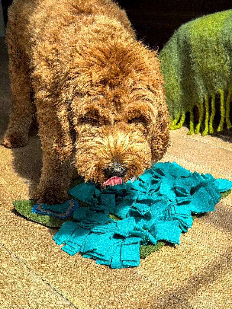 Thuis bij Familie over de Kook: week 24