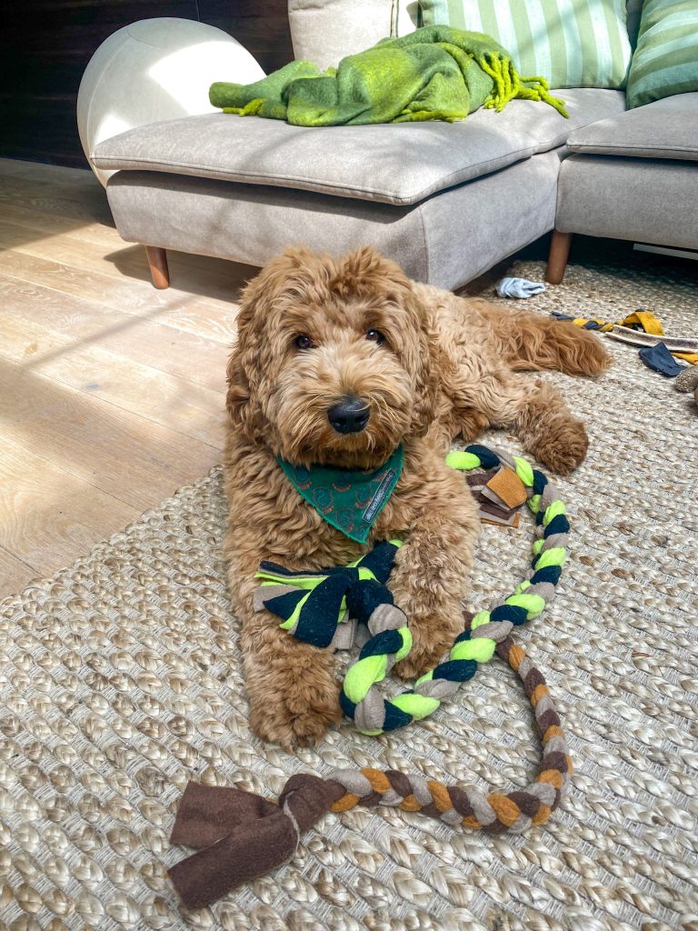 Thuis bij familie over de kook: week 27