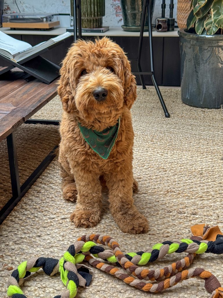 Thuis bij familie over de kook: week 27