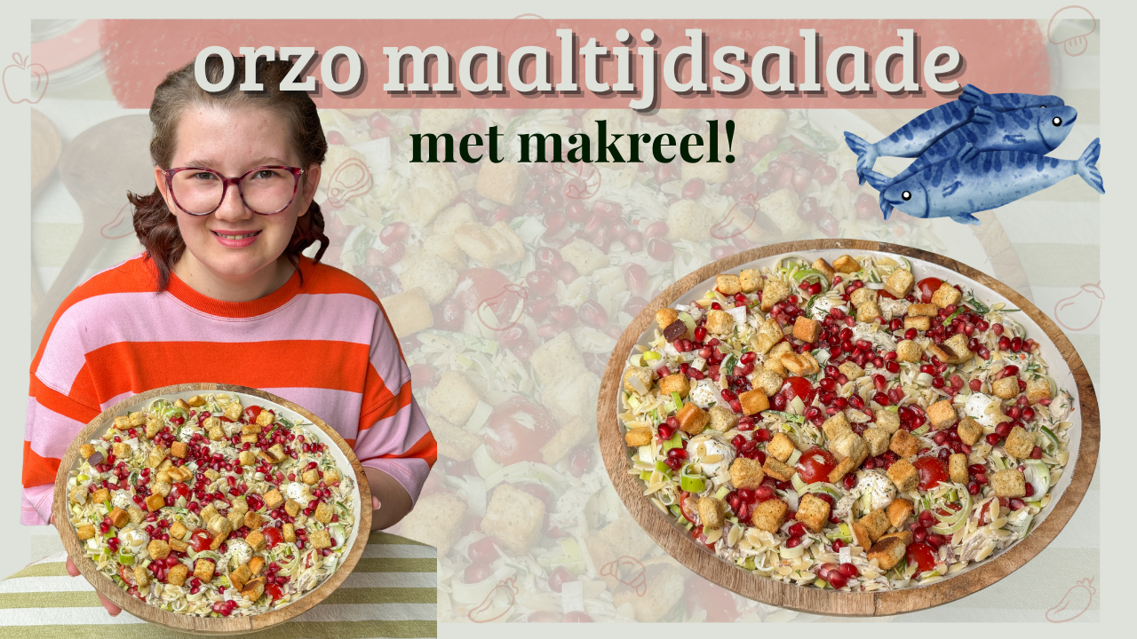 Orzo salade met makreel recept – Beaudine houdt grote schaal orzo maaltijdsalade vast met granaatappel, croutons en makreel, kleurrijke zomerse sfeer en vis-icoon