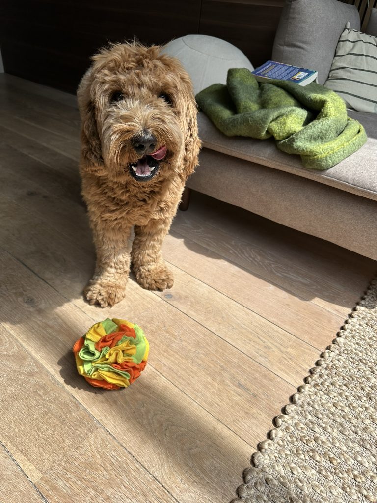 Thuis bij familie over de kook: week 29