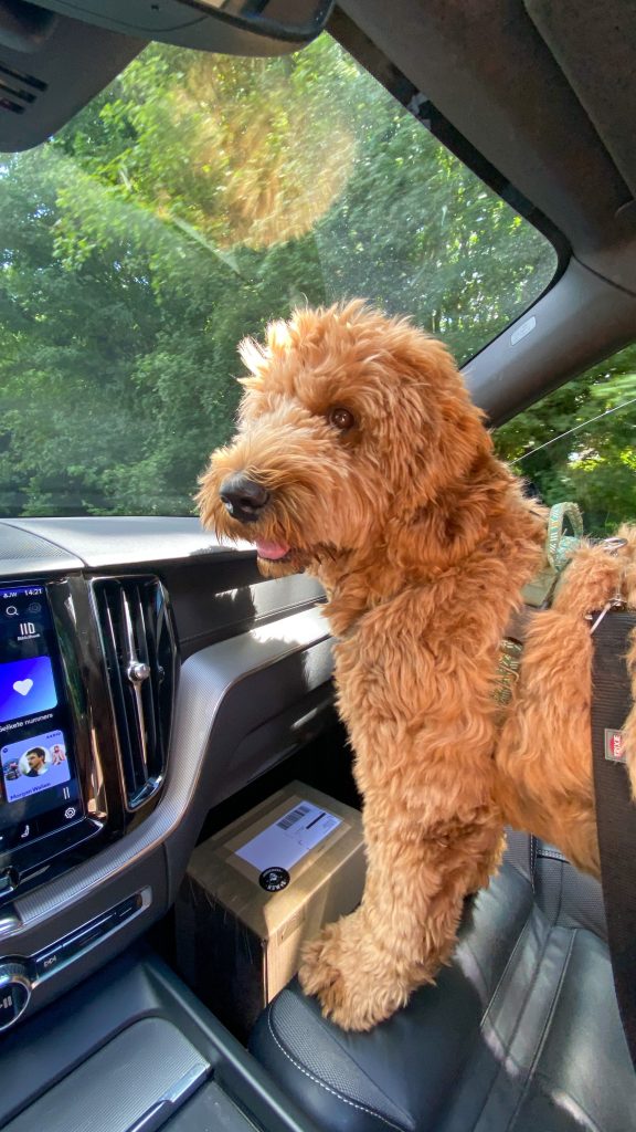 Thuis bij familie over de kook: week 29