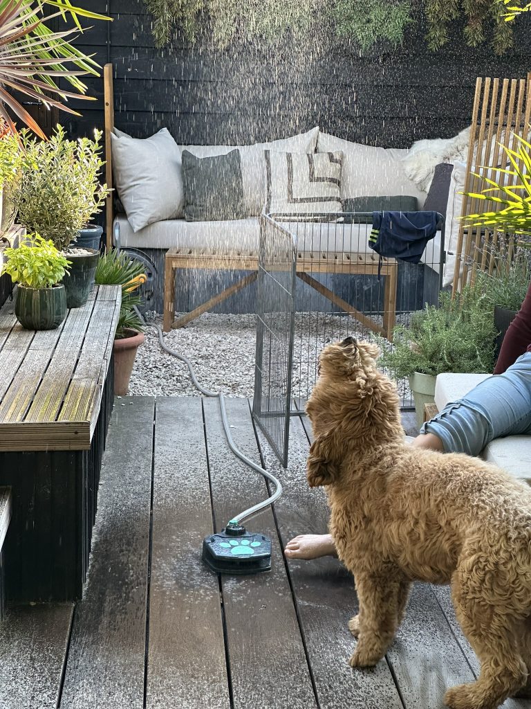 Thuis bij familie over de kook: week 29