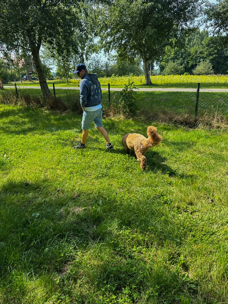 Thuis bij familie over de kook: week 30