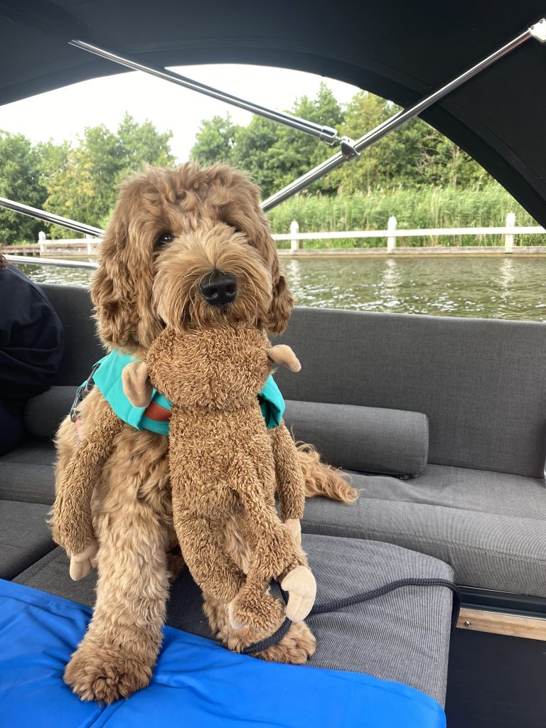 Thuis bij familie over de kook: week 29