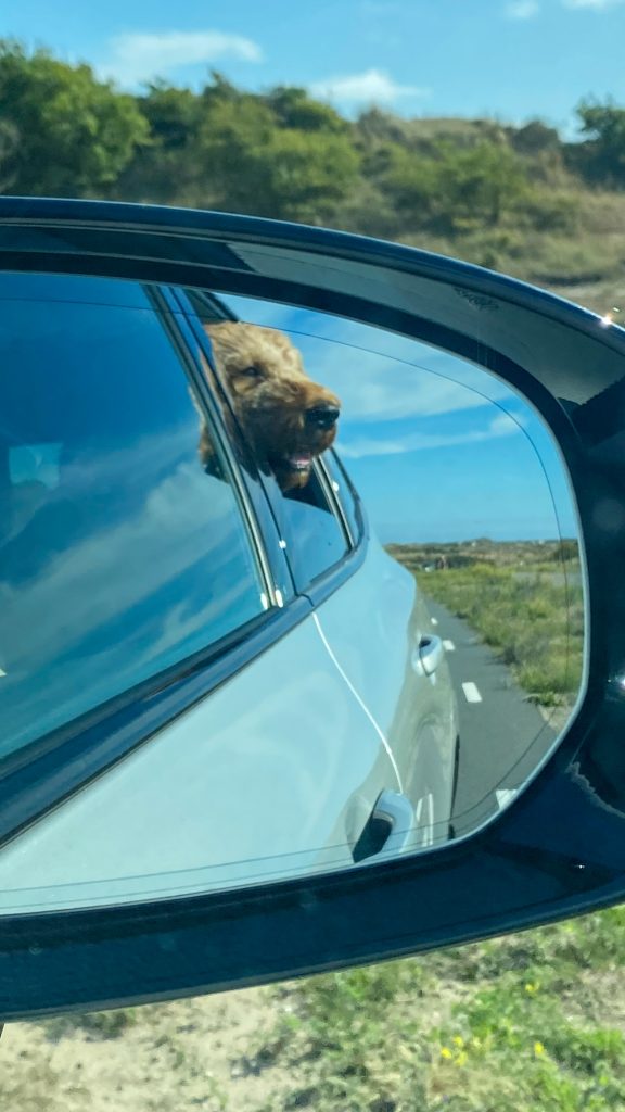 Thuis bij familie over de kook: week 30