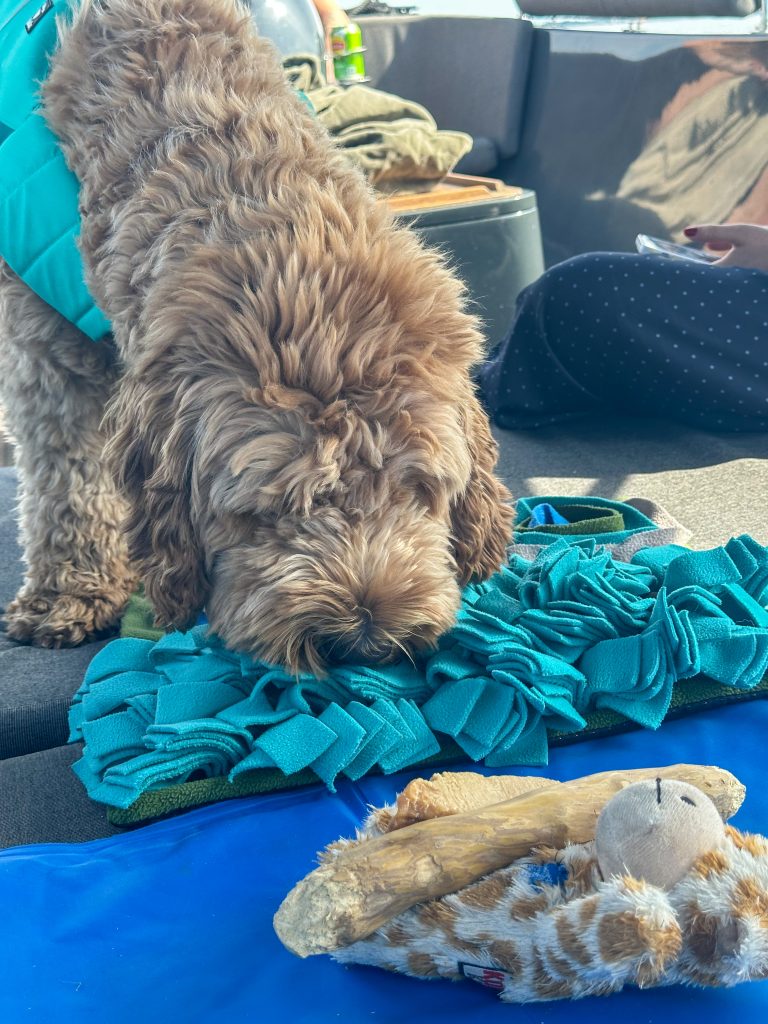 Thuis bij familie over de kook: week 35