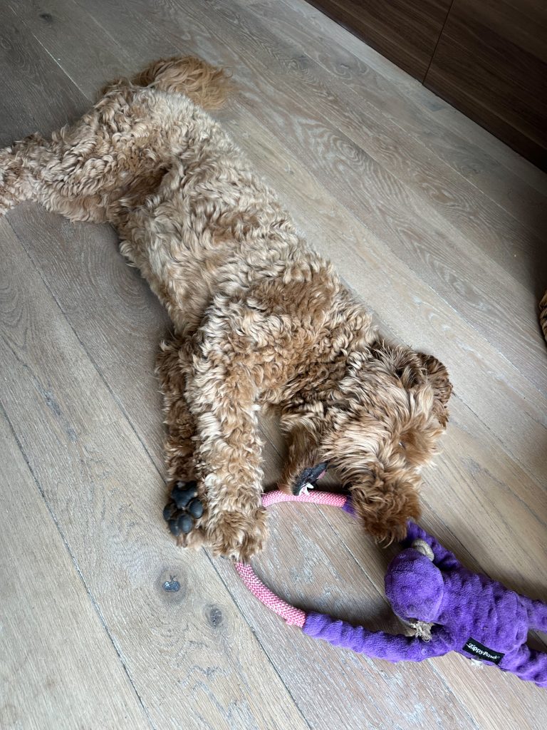 Thuis bij familie over de kook: week 35