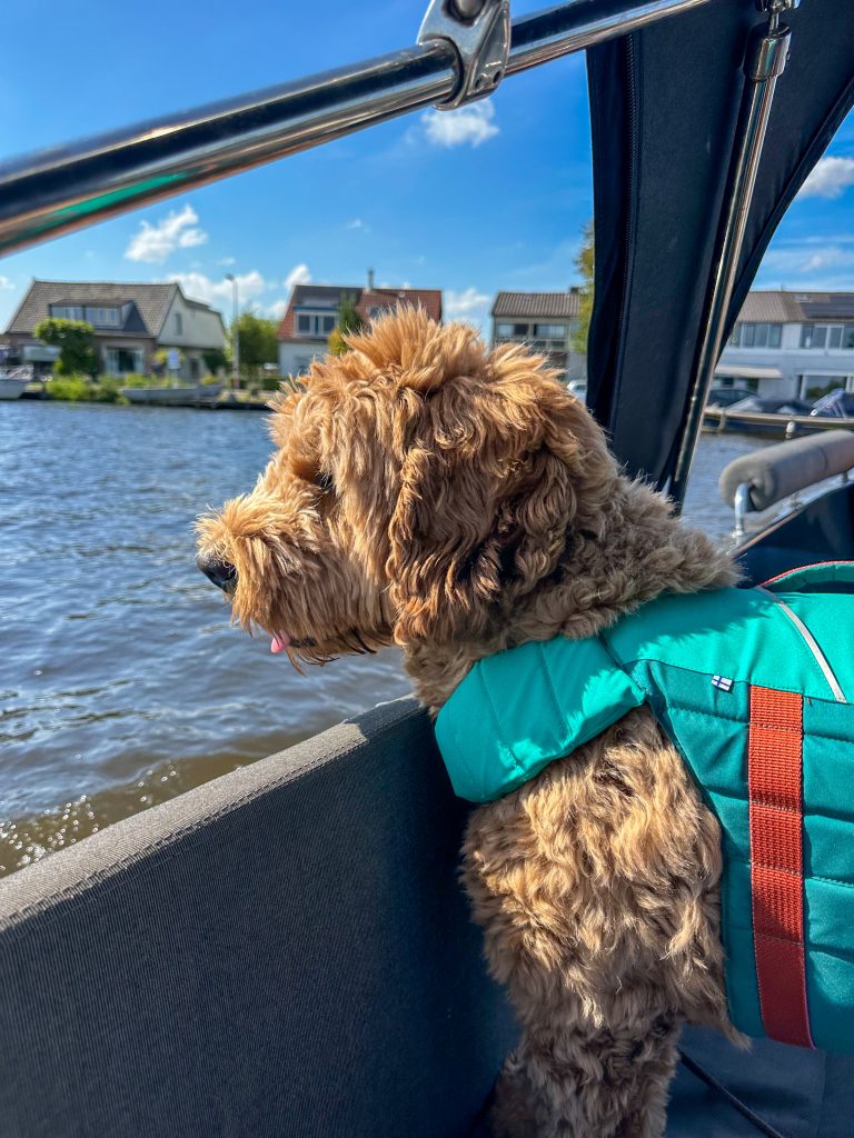 Thuis bij familie over de kook: week 34