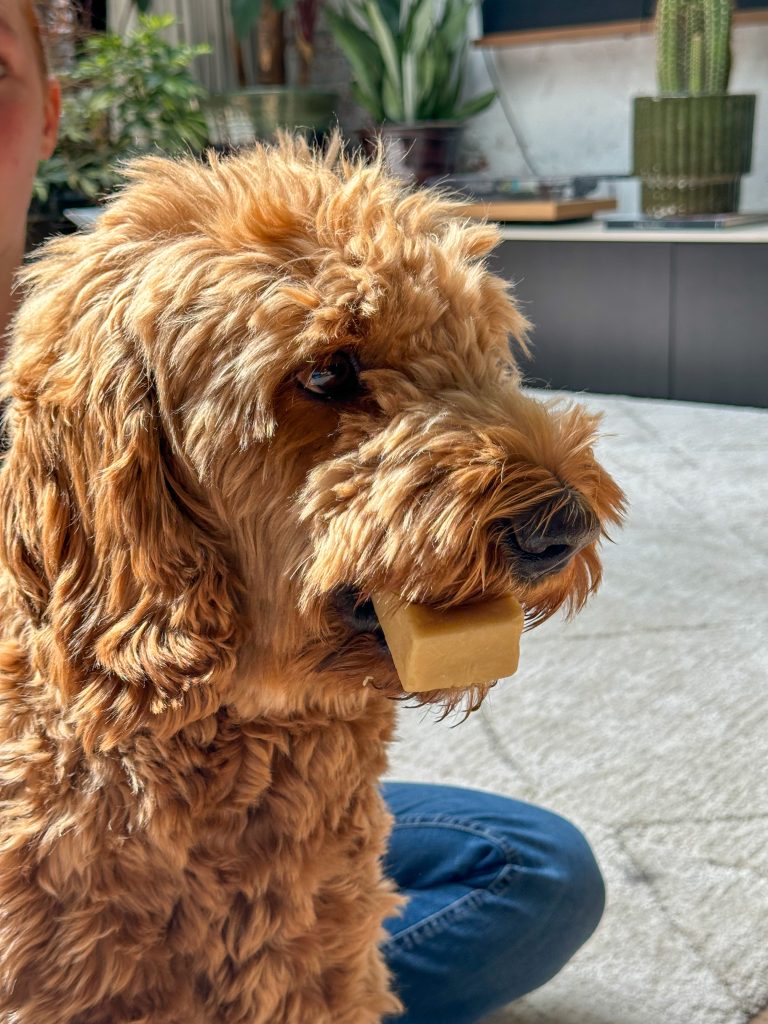 Thuis bij familie over de kook: week 34