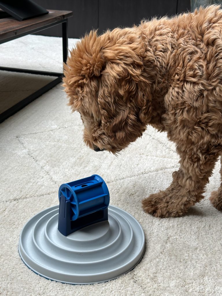 Thuis bij familie over de kook: week 35