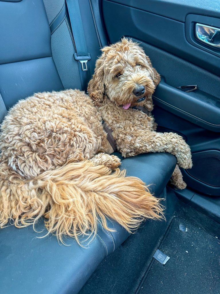 Thuis bij familie over de kook: week 34