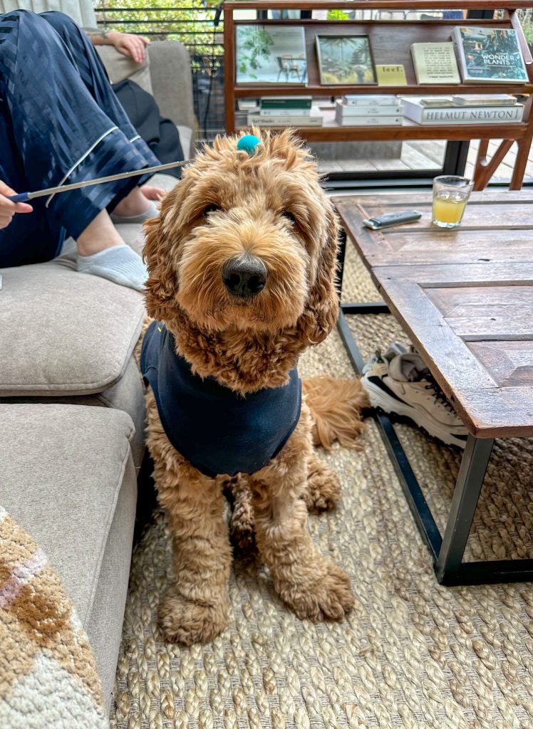 Thuis bij familie over de kook: week 33