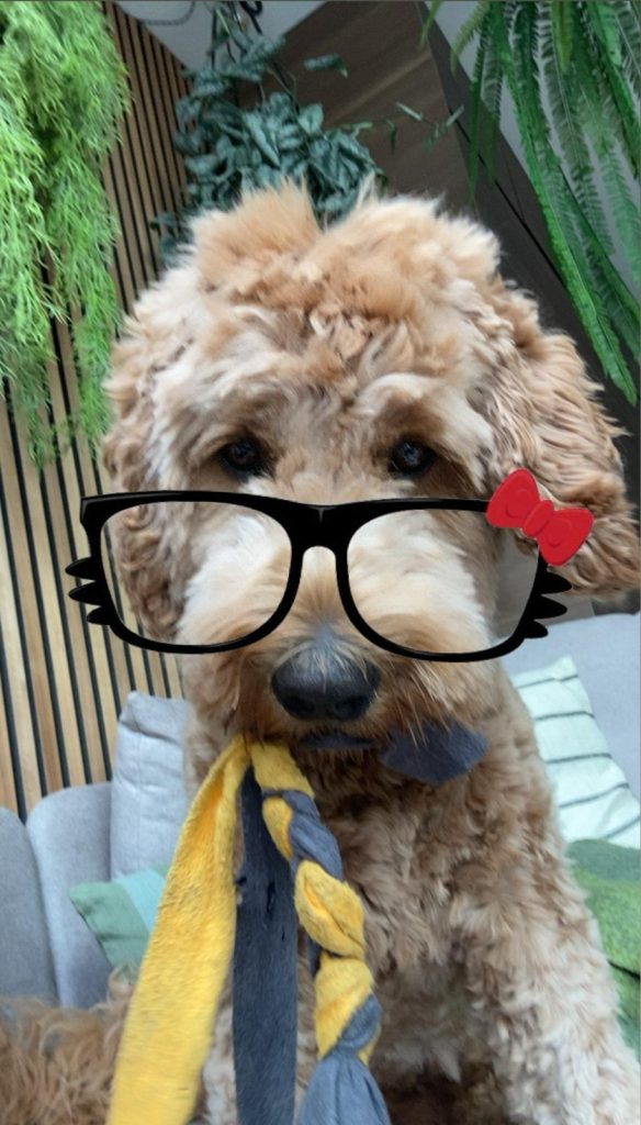 Thuis bij familie over de kook: week 31