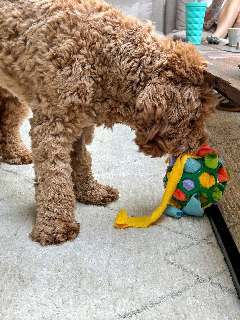 Thuis bij familie over de kook: week 33