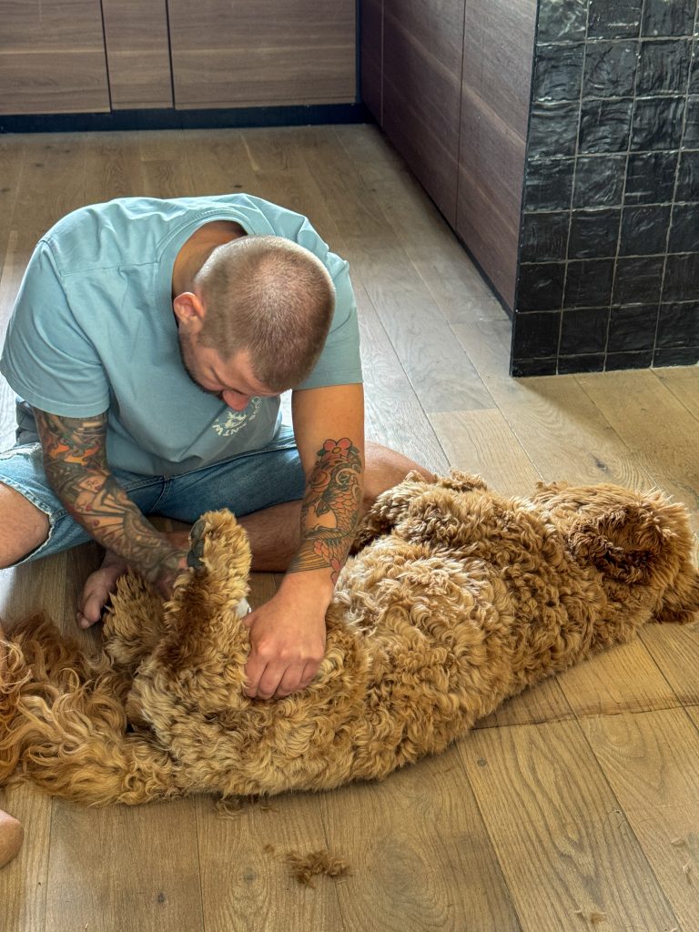 Thuis bij familie over de kook: week 34