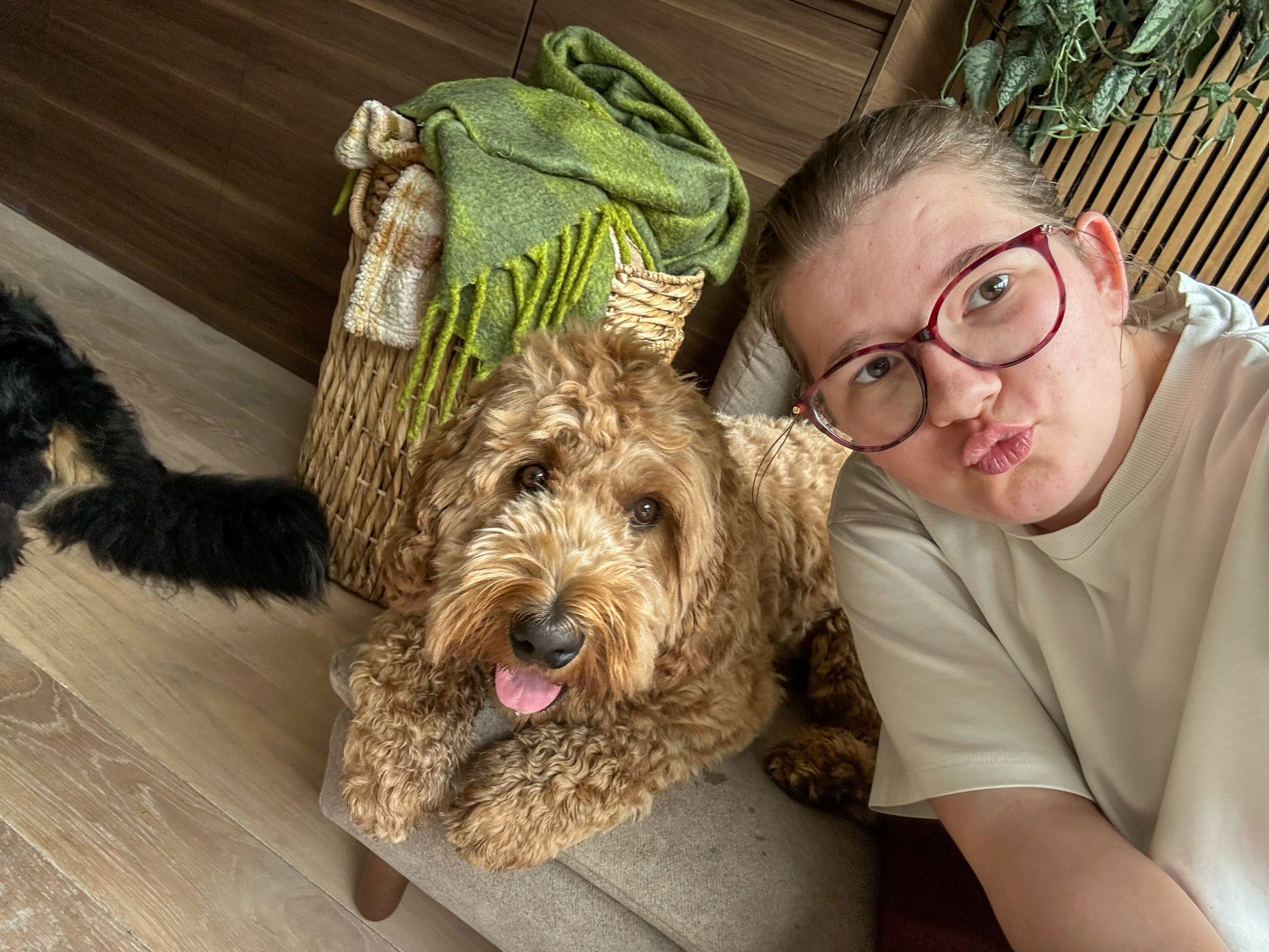 Thuis bij familie over de kook: week 37