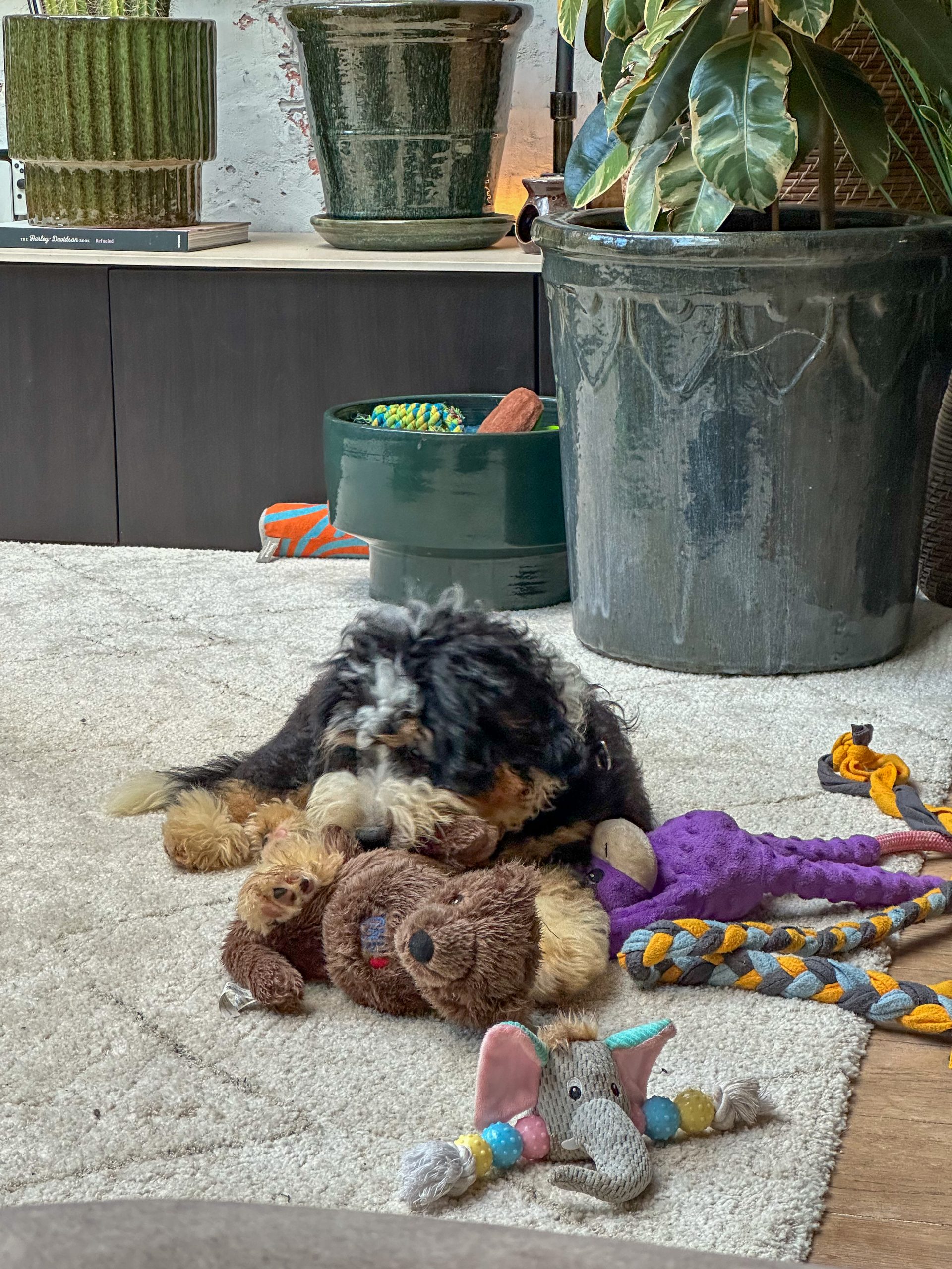 Thuis bij familie over de kook: week 36