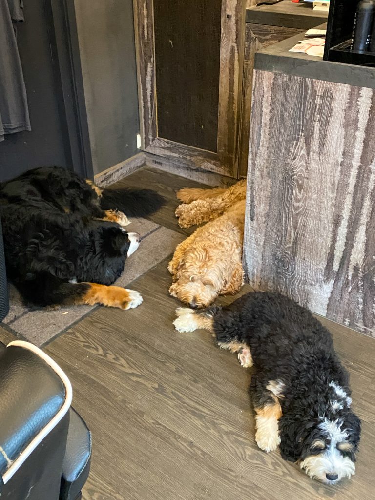 Thuis bij familie over de kook: week 40