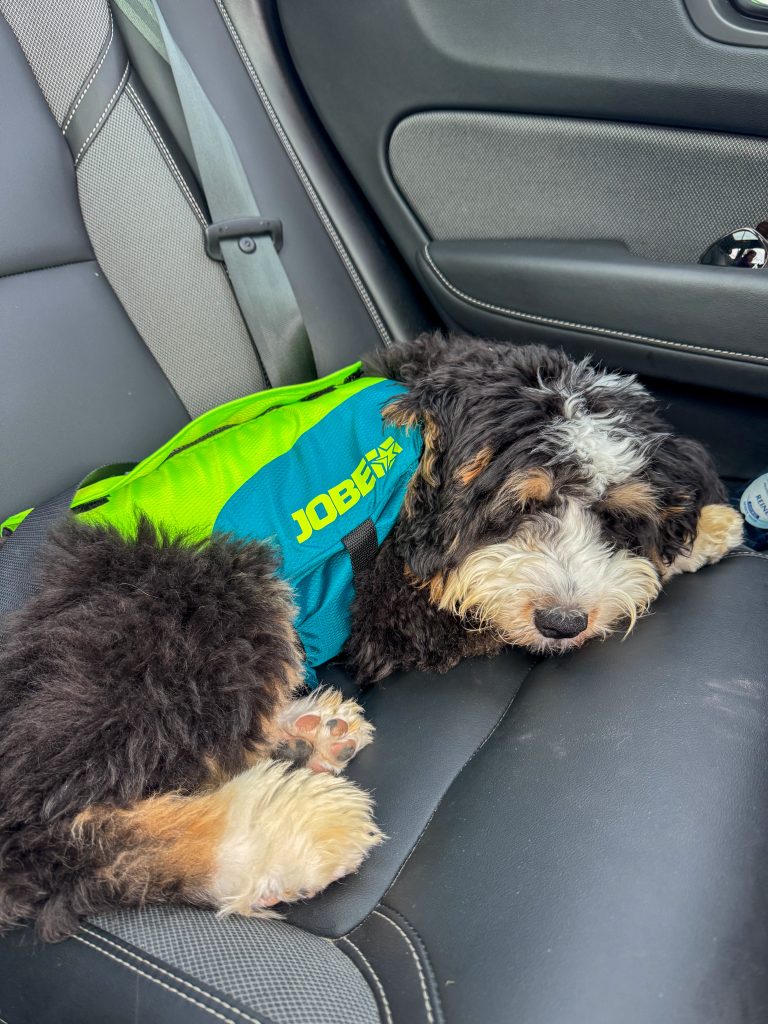 Thuis bij familie over de kook: week 40