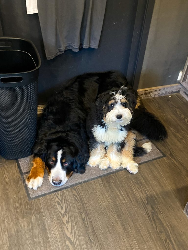 Thuis bij familie over de kook: week 40