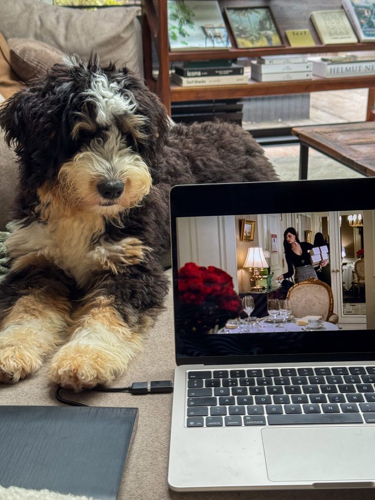 Pup Legend kijkt mee met de laptop - Thuis bij Familie over de Kook