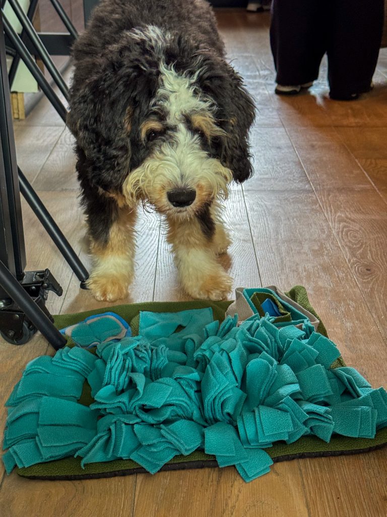 legend speelt met een groene snuffelmat in de woonkamer