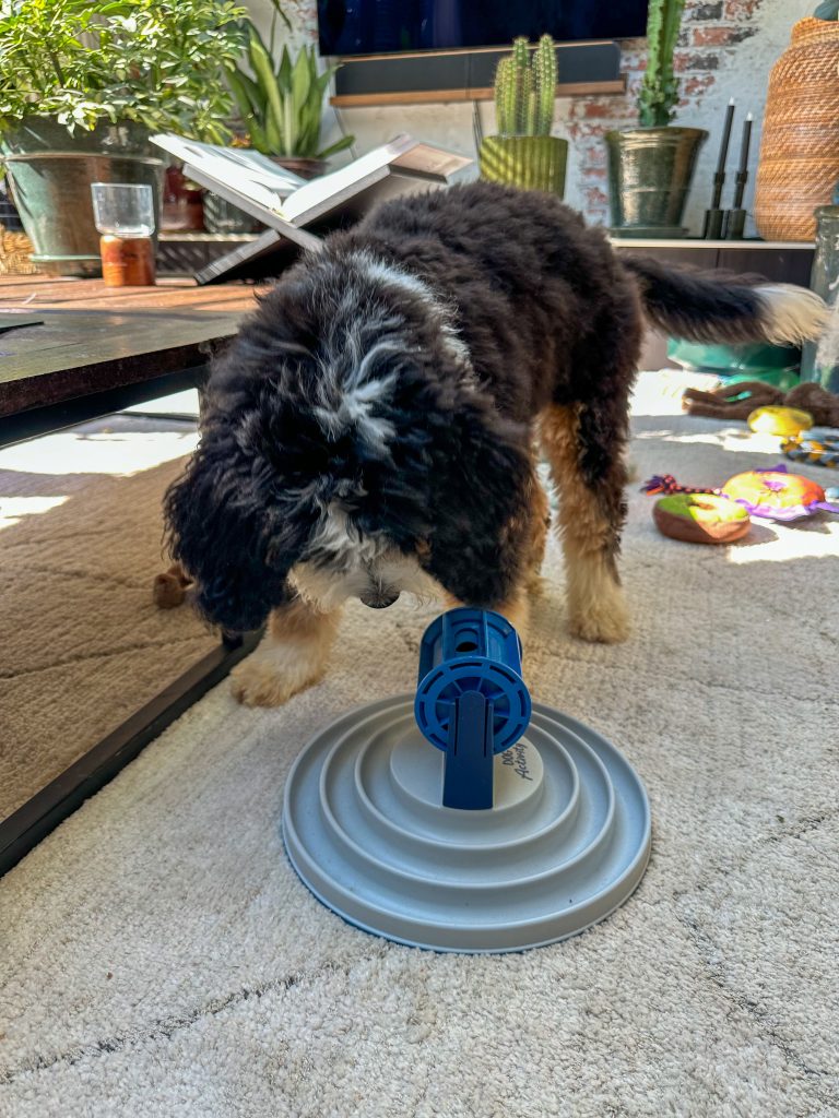 Thuis bij familie over de kook: week 40